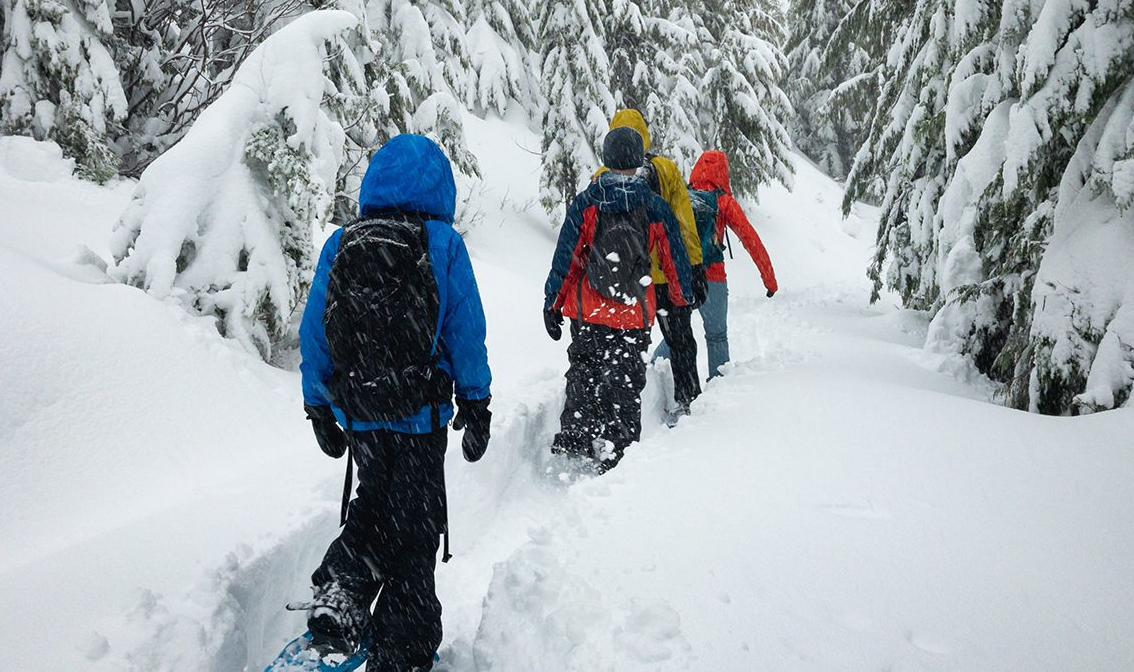 Balade en raquettes montgenevre société et entreprise